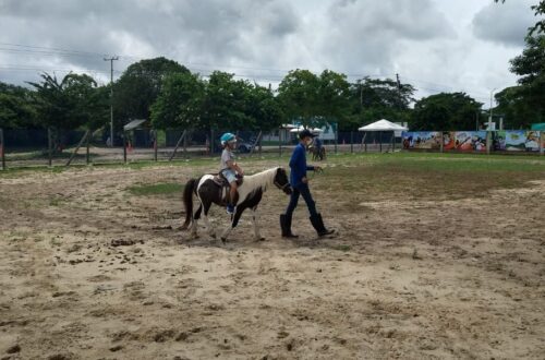 Ranch Texas pasear en pony y caballo