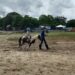 Ranch Texas pasear en pony y caballo