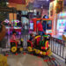 Africa parque barranquilla cc Mall Plaza