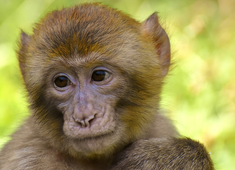zoologico barranquilla
