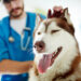 veterinarias en barranquilla