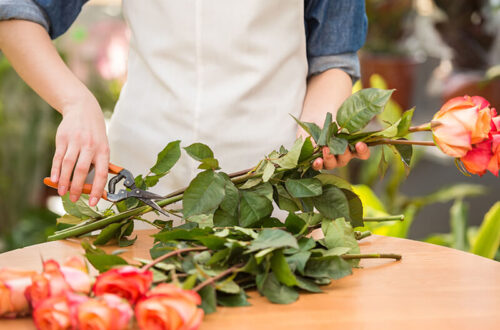 floristerias barranquilla