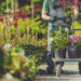 vivero de plantas barranquilla