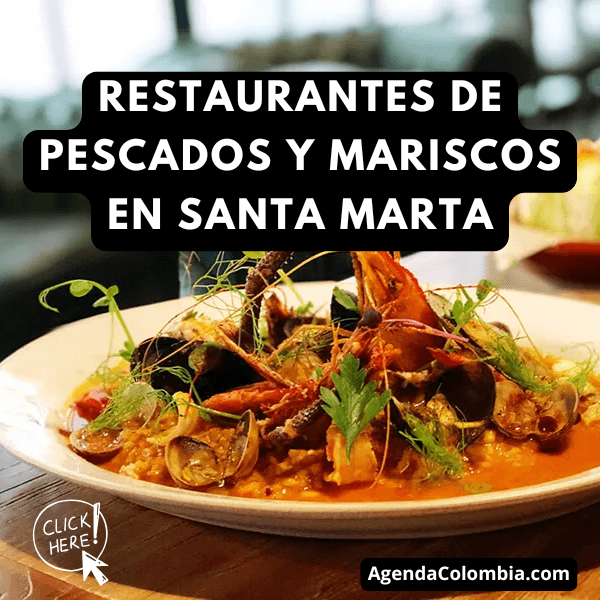 Restaurantes de pescados y mariscos en Santa Marta